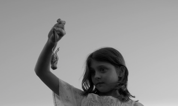 The Succulent Interior: Interrogating Horror